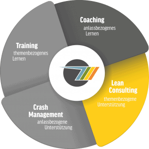 Lean Consulting